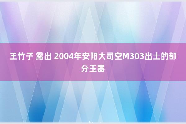 王竹子 露出 2004年安阳大司空M303出土的部分玉器