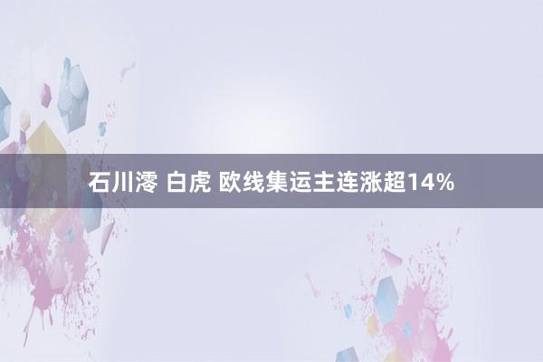 石川澪 白虎 欧线集运主连涨超14%