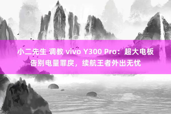 小二先生 调教 vivo Y300 Pro：超大电板告别电量罪戾，续航王者外出无忧