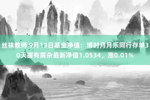 丝袜教师 9月13日基金净值：博时月月乐同行存单30天握有羼杂最新净值1.0534，涨0.01%