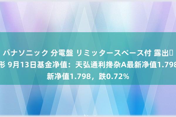 パナソニック 分電盤 リミッタースペース付 露出・半埋込両用形 9月13日基金净值：天弘通利搀杂A最新净值1.798，跌0.72%