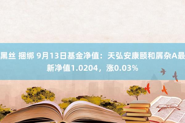 黑丝 捆绑 9月13日基金净值：天弘安康颐和羼杂A最新净值1.0204，涨0.03%