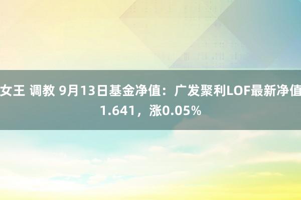 女王 调教 9月13日基金净值：广发聚利LOF最新净值1.641，涨0.05%