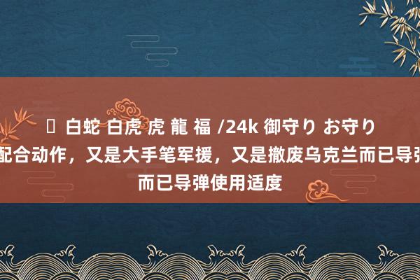 ✨白蛇 白虎 虎 龍 福 /24k 御守り お守り 好意思英配合动作，又是大手笔军援，又是撤废乌克兰而已导弹使用适度