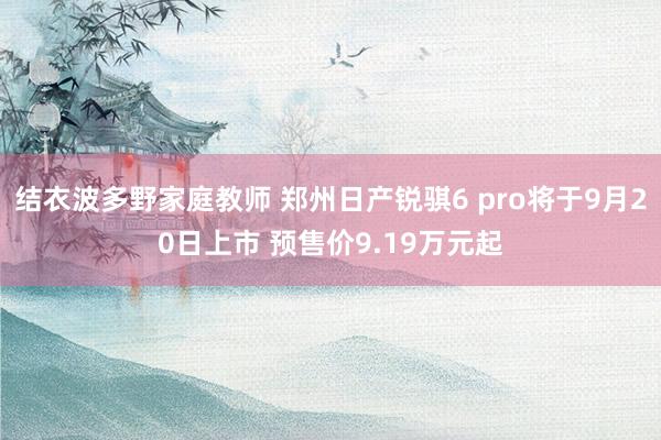 结衣波多野家庭教师 郑州日产锐骐6 pro将于9月20日上市 预售价9.19万元起