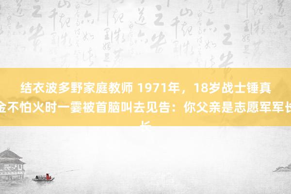 结衣波多野家庭教师 1971年，18岁战士锤真金不怕火时一霎被首脑叫去见告：你父亲是志愿军军长