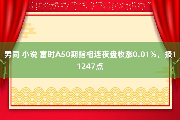 男同 小说 富时A50期指相连夜盘收涨0.01%，报11247点