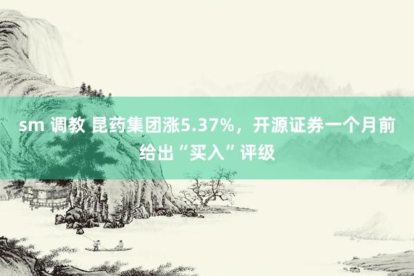 sm 调教 昆药集团涨5.37%，开源证券一个月前给出“买入”评级