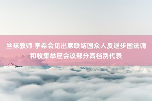 丝袜教师 李希会见出席联结国众人反退步国法调和收集举座会议部分高档别代表