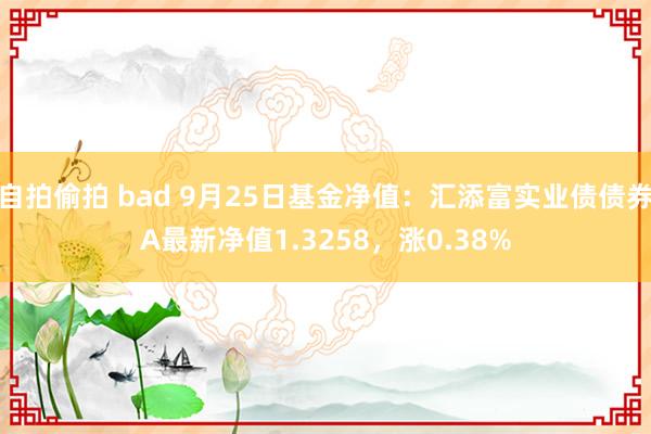 自拍偷拍 bad 9月25日基金净值：汇添富实业债债券A最新净值1.3258，涨0.38%