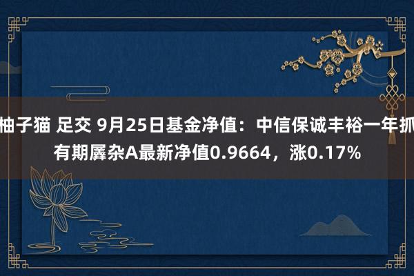 柚子猫 足交 9月25日基金净值：中信保诚丰裕一年抓有期羼杂A最新净值0.9664，涨0.17%