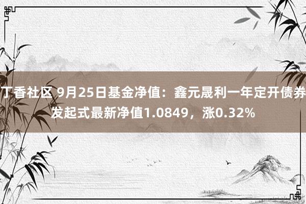 丁香社区 9月25日基金净值：鑫元晟利一年定开债券发起式最新净值1.0849，涨0.32%