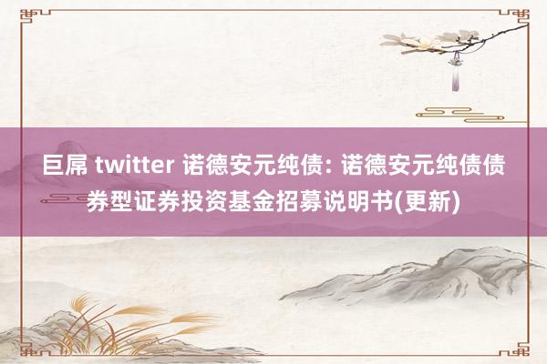 巨屌 twitter 诺德安元纯债: 诺德安元纯债债券型证券投资基金招募说明书(更新)