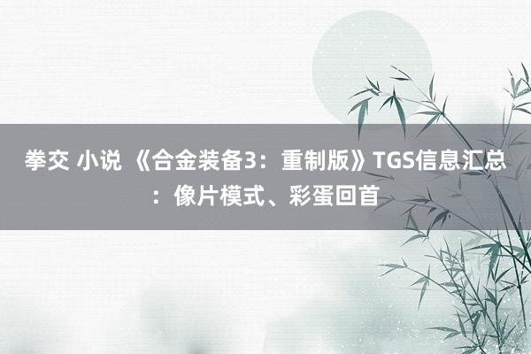 拳交 小说 《合金装备3：重制版》TGS信息汇总：像片模式、彩蛋回首