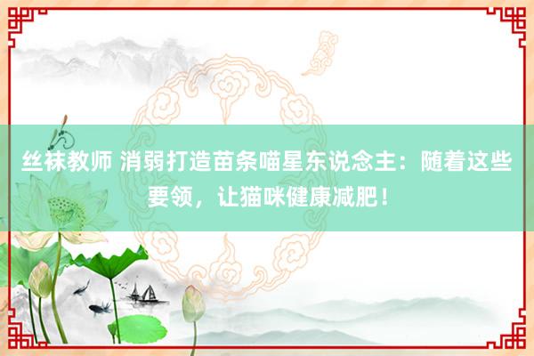 丝袜教师 消弱打造苗条喵星东说念主：随着这些要领，让猫咪健康减肥！