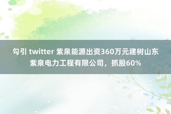 勾引 twitter 紫泉能源出资360万元建树山东紫泉电力工程有限公司，抓股60%