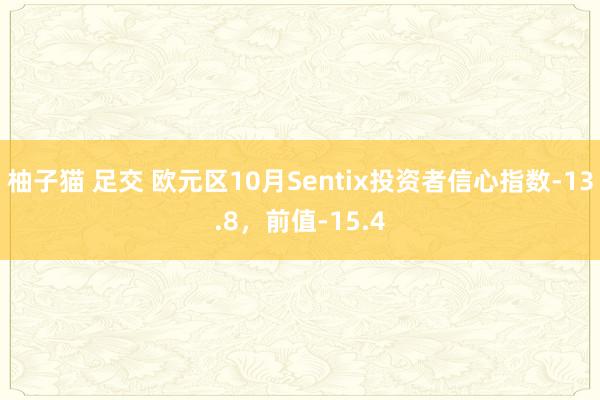 柚子猫 足交 欧元区10月Sentix投资者信心指数-13.8，前值-15.4