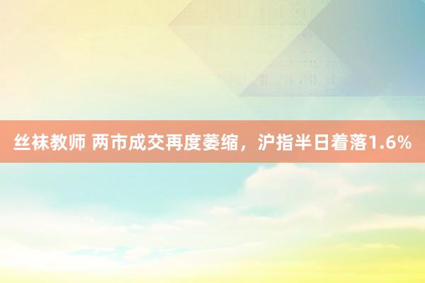 丝袜教师 两市成交再度萎缩，沪指半日着落1.6%