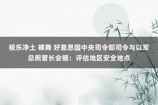 极乐净土 裸舞 好意思国中央司令部司令与以军总照管长会晤：评估地区安全地点