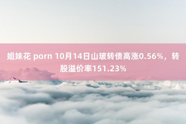 姐妹花 porn 10月14日山玻转债高涨0.56%，转股溢价率151.23%