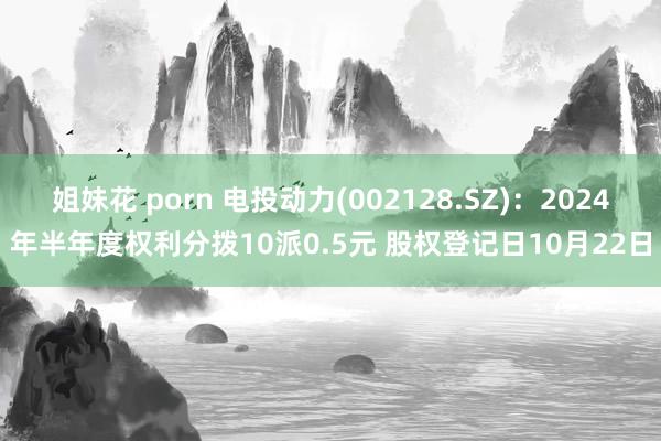 姐妹花 porn 电投动力(002128.SZ)：2024年半年度权利分拨10派0.5元 股权登记日10月22日