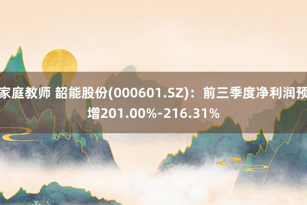 家庭教师 韶能股份(000601.SZ)：前三季度净利润预增201.00%-216.31%