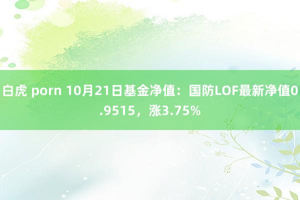 白虎 porn 10月21日基金净值：国防LOF最新净值0.9515，涨3.75%