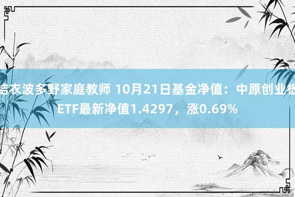 结衣波多野家庭教师 10月21日基金净值：中原创业板ETF最新净值1.4297，涨0.69%