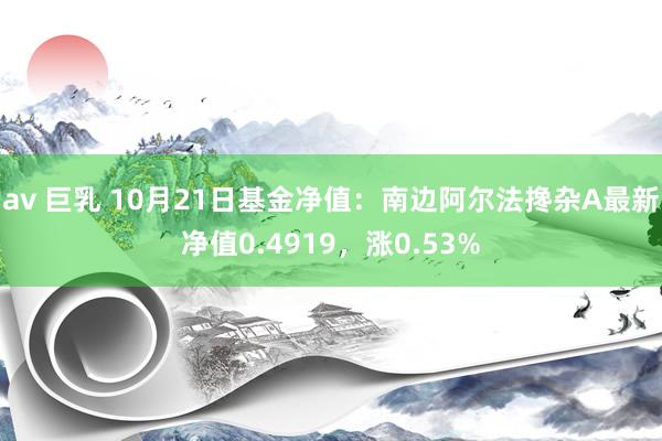 av 巨乳 10月21日基金净值：南边阿尔法搀杂A最新净值0.4919，涨0.53%