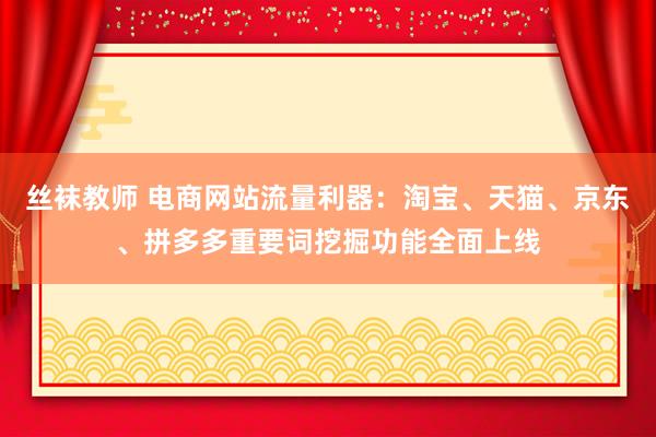 丝袜教师 电商网站流量利器：淘宝、天猫、京东、拼多多重要词挖掘功能全面上线