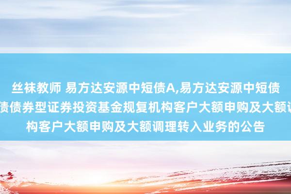 丝袜教师 易方达安源中短债A，易方达安源中短债C: 易方达安源中短债债券型证券投资基金规复机构客户大额申购及大额调理转入业务的公告