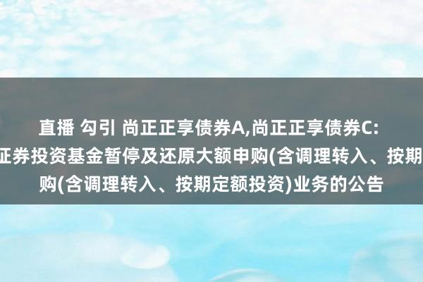 直播 勾引 尚正正享债券A，尚正正享债券C: 对于尚正正享债券型证券投资基金暂停及还原大额申购(含调理转入、按期定额投资)业务的公告