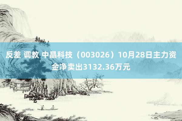 反差 调教 中晶科技（003026）10月28日主力资金净卖出3132.36万元