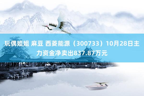 玩偶姐姐 麻豆 西菱能源（300733）10月28日主力资金净卖出837.87万元