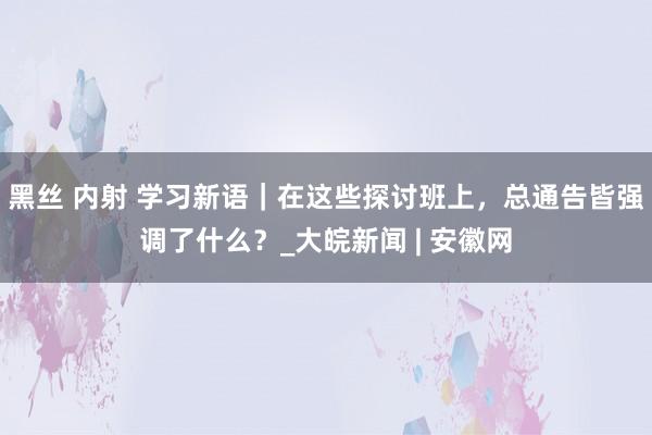 黑丝 内射 学习新语｜在这些探讨班上，总通告皆强调了什么？_大皖新闻 | 安徽网