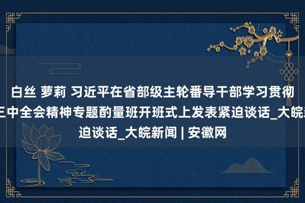 白丝 萝莉 习近平在省部级主轮番导干部学习贯彻党的二十届三中全会精神专题酌量班开班式上发表紧迫谈话_大皖新闻 | 安徽网