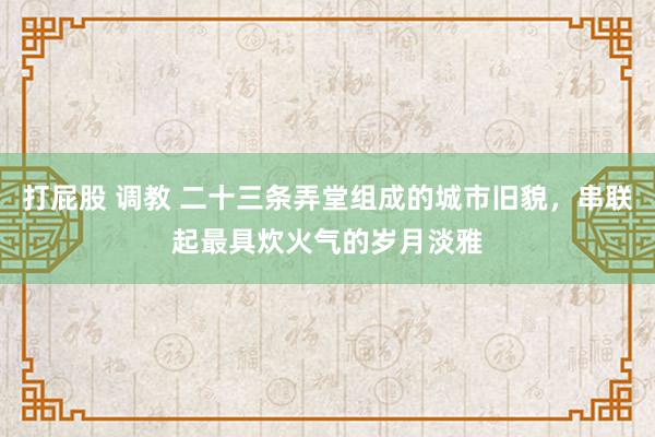 打屁股 调教 二十三条弄堂组成的城市旧貌，串联起最具炊火气的岁月淡雅