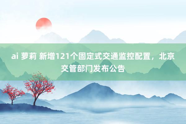 ai 萝莉 新增121个固定式交通监控配置，北京交管部门发布公告