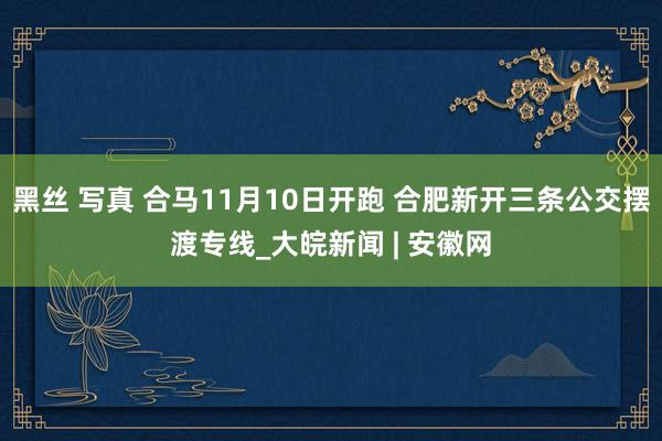 黑丝 写真 合马11月10日开跑 合肥新开三条公交摆渡专线_大皖新闻 | 安徽网