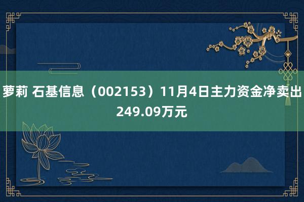 萝莉 石基信息（002153）11月4日主力资金净卖出249.09万元