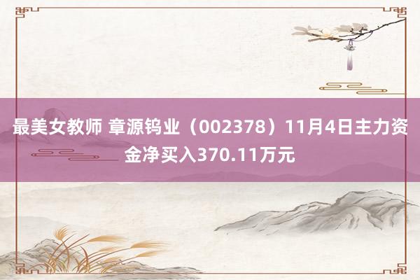 最美女教师 章源钨业（002378）11月4日主力资金净买入370.11万元