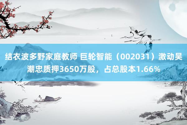 结衣波多野家庭教师 巨轮智能（002031）激动吴潮忠质押3650万股，占总股本1.66%