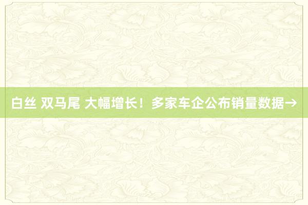 白丝 双马尾 大幅增长！多家车企公布销量数据→