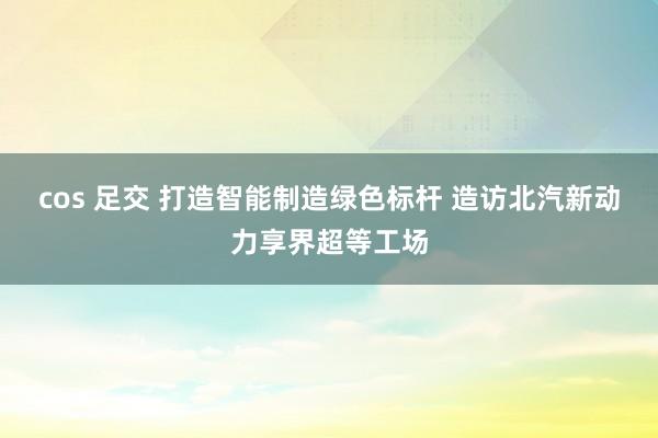 cos 足交 打造智能制造绿色标杆 造访北汽新动力享界超等工场