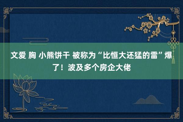 文爱 胸 小熊饼干 被称为“比恒大还猛的雷”爆了！波及多个房企大佬