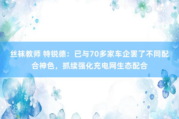 丝袜教师 特锐德：已与70多家车企罢了不同配合神色，抓续强化充电网生态配合