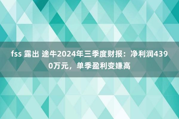 fss 露出 途牛2024年三季度财报：净利润4390万元，单季盈利变嫌高