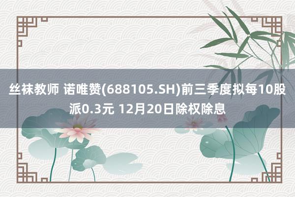 丝袜教师 诺唯赞(688105.SH)前三季度拟每10股派0.3元 12月20日除权除息