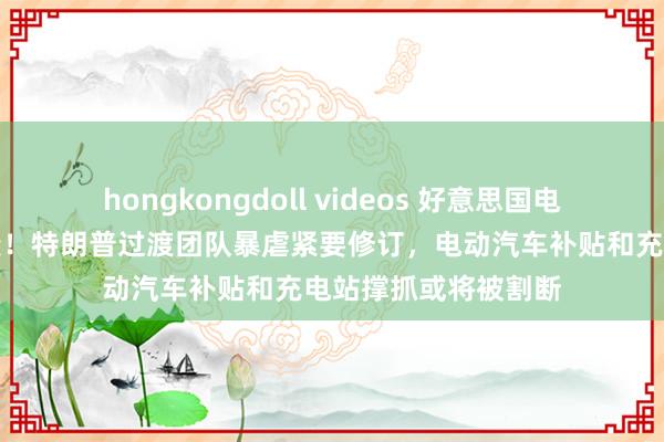 hongkongdoll videos 好意思国电动汽车策略濒临剧变！特朗普过渡团队暴虐紧要修订，电动汽车补贴和充电站撑抓或将被割断