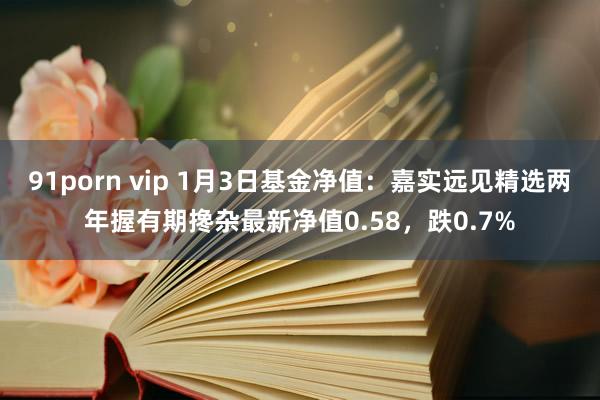 91porn vip 1月3日基金净值：嘉实远见精选两年握有期搀杂最新净值0.58，跌0.7%